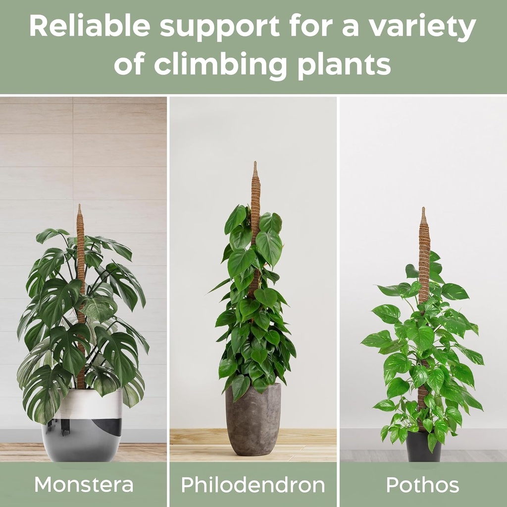 2-pack-28-bendable-moss-pole-monstera-pl-4.jpg