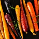 organic-carrot-seeds-rainbow-blend---app-6.jpg