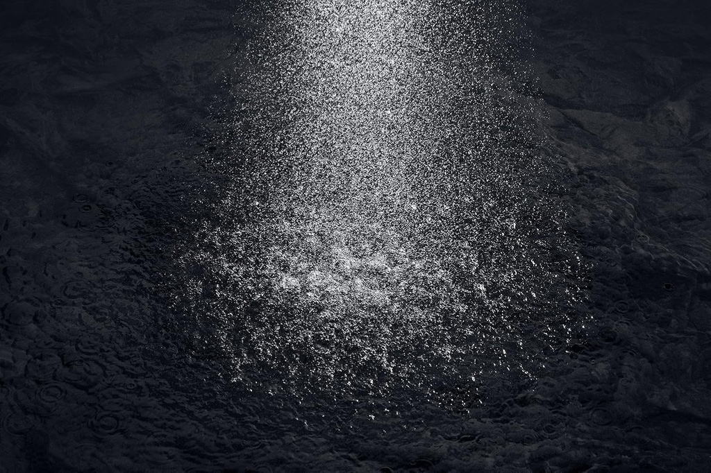 flipside-01-showerhead-6.jpg