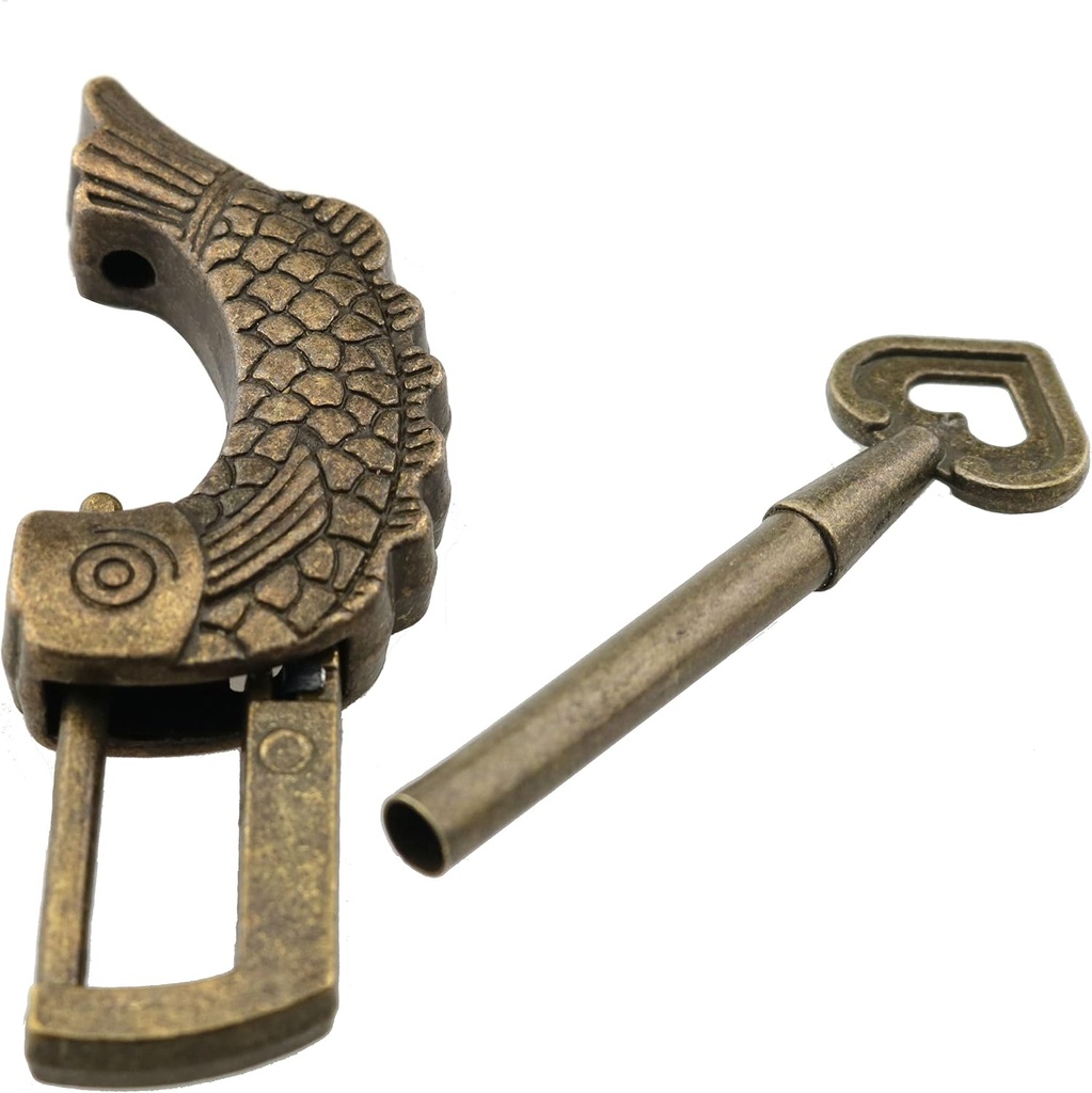 fish-shaped-retro-padlock-with-key-and-t-4.jpg