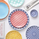 kitchentour-large-porcelain-dinner-plate-4.jpg