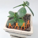 garden-hand-tool-sow-traditional-sets-or-5.jpg