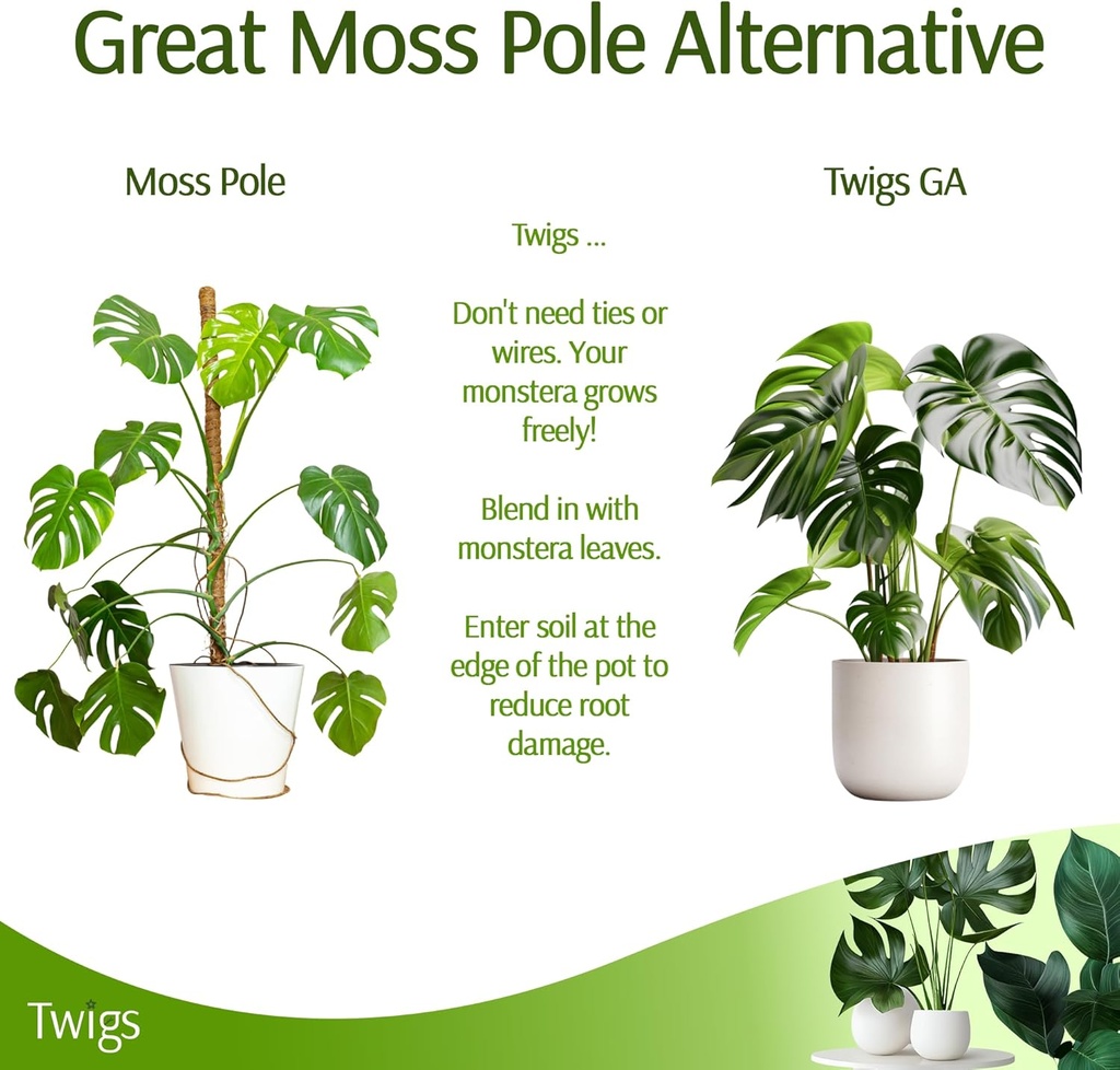 stackable-monstera-plant-support-stakes--6.jpg