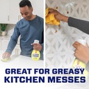 mr-clean-clean-freak-multi-surface-clean-4.jpg