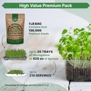organo-republic-broccoli-sprouting-micro-3.jpg