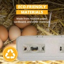 strombergs-large-blank-egg-cartons-bulk--3.jpg