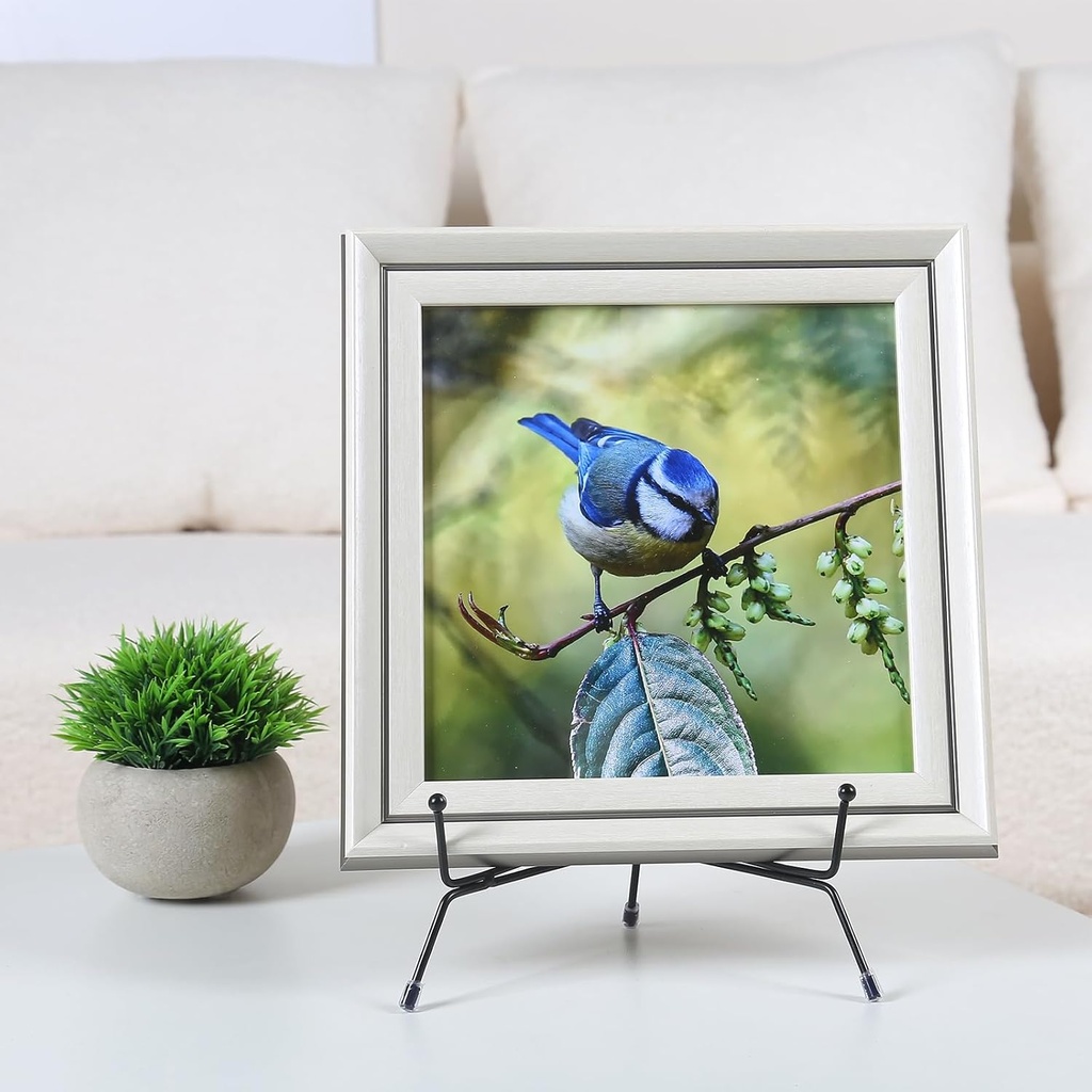 6-pack-upgraded-plate-display-stands-8-i-5.jpg