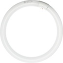 GE Lighting FC12 T9 Garage & Basement Circline Fluorescent Light Bulb, Cool White Finish, 32-Watt, 1950 Lumen, 12-Inch Circular Diameter, 1-Pack