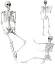 Wocst 5.4Ft/165cm Halloween Skeleton Full Body Life Size Human Bones with Movable Joints for Indoor Outdoor Halloween Props Decorations